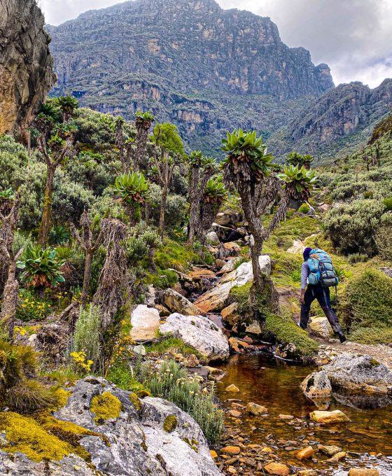 Rwenzori-Mountains-03_1600p